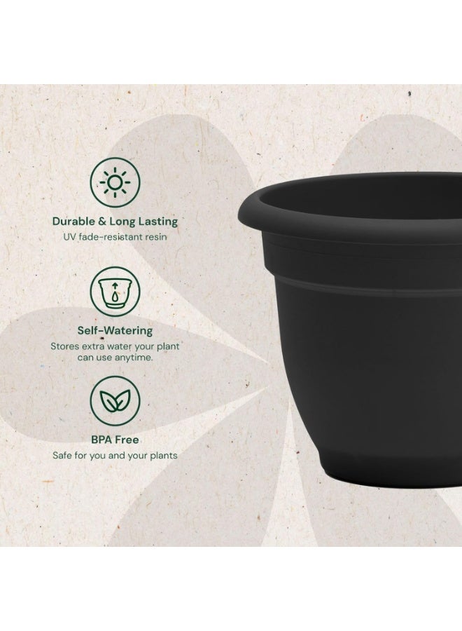 Bloem 6 Inch Self Watering Plastic Planter Pot Black Indoor Outdoor Garden Flower Pot with Drainage and Reservoir - Image 4