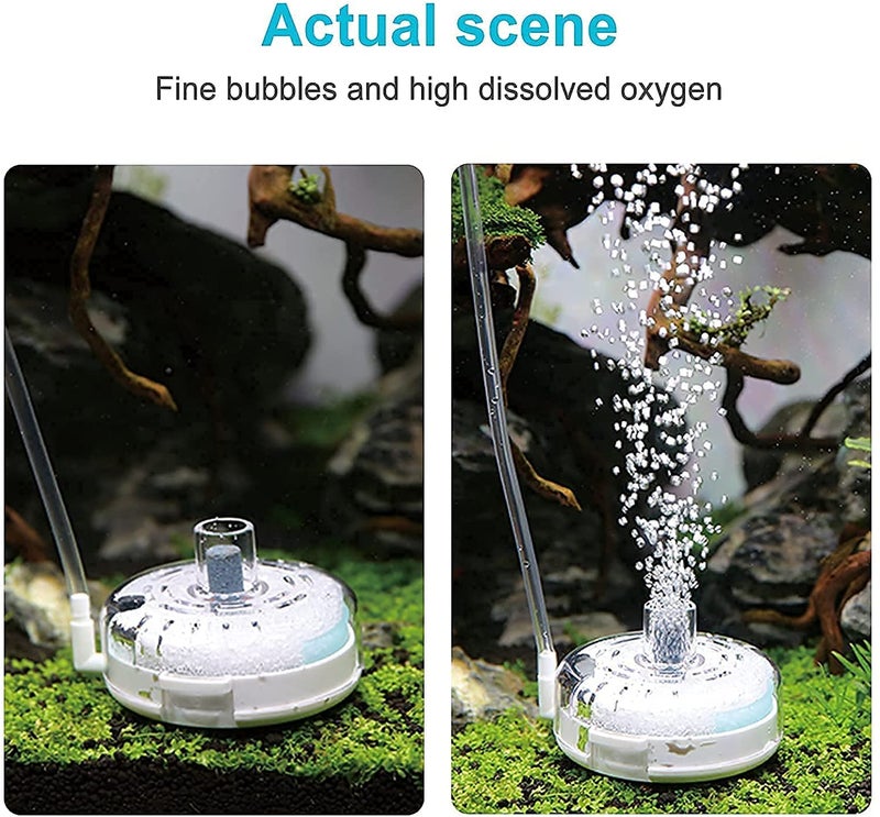 UPETTOOLS Mini Aquarium Sponge Filter, Small Internal Fish Tank Filter Detachable Submersible Filter with Air Stone Suitable for 2-6 Gallon Tank (Air Pumps and Air Tube not Included) - Image 3
