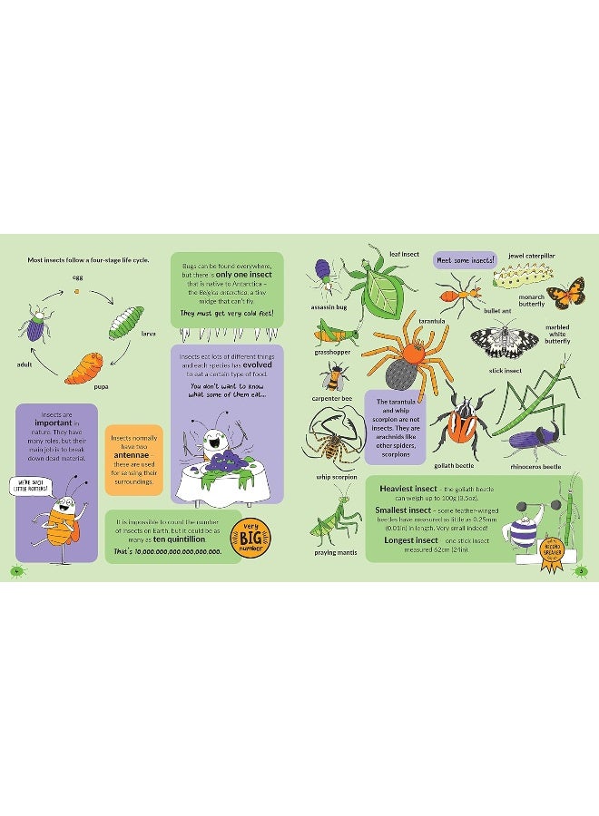 Bugs  - Image 4