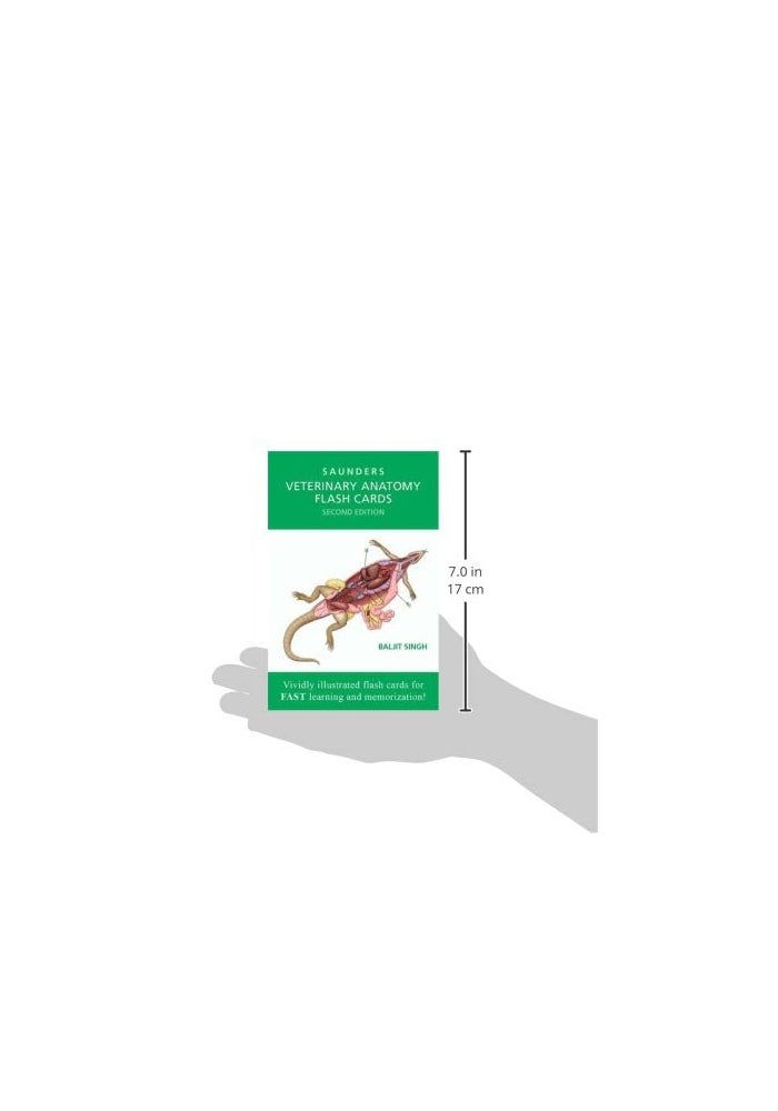 Veterinary Anatomy Flash Cards - Image 2