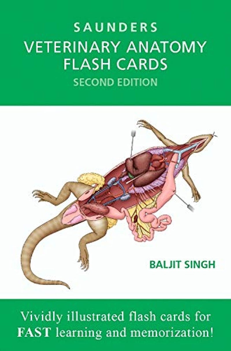 Veterinary Anatomy Flash Cards - Image 1