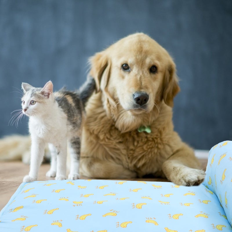 Dog Cooling Mat Sleeping Mat Cat Cooling Mat Pet Dog Pad Cooling Pad - Image 5