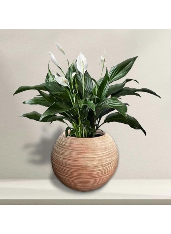 Round ribbed pottery pot (30) - Image 1