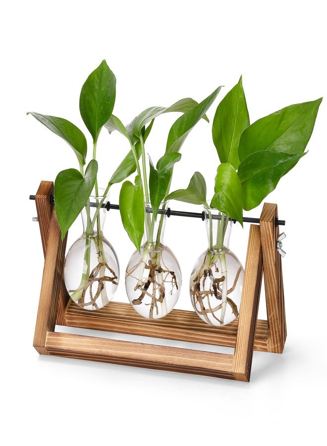 YIBOT Plants Propagation Stations,Desk Plant Terrarium with Retro Wooden Stand,Plant Lover Gifts for Women for Hydroponics Plants Home Garden Wedding Decor(3 Bulb Vase) - Image 1