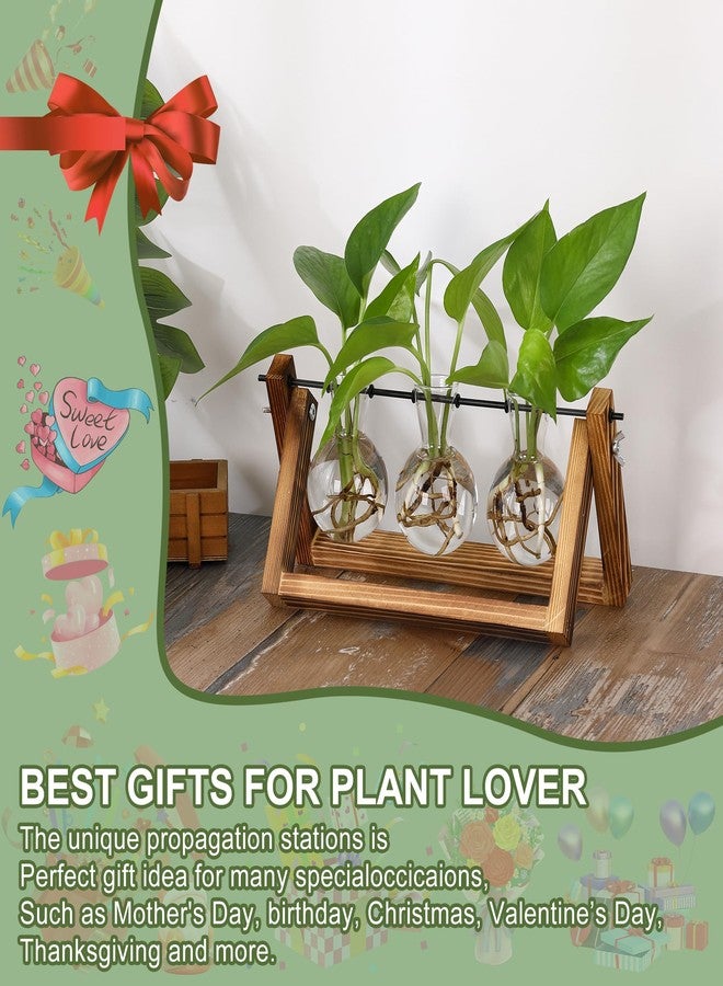 YIBOT Plants Propagation Stations,Desk Plant Terrarium with Retro Wooden Stand,Plant Lover Gifts for Women for Hydroponics Plants Home Garden Wedding Decor(3 Bulb Vase) - Image 4