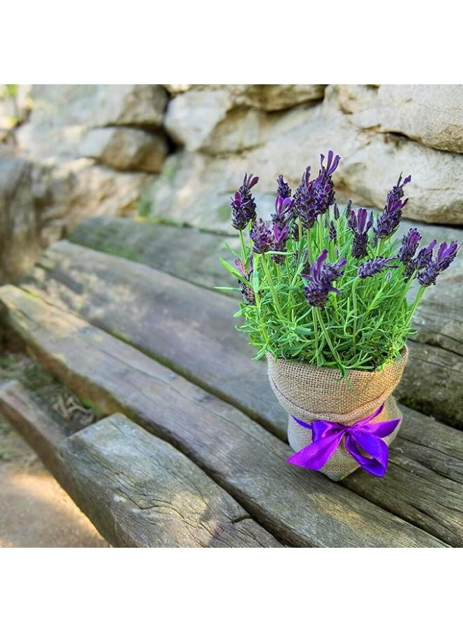 لفافة روبان فاشون من قماش الجوت الطبيعي بعرض 50 سم تُباع بالمتر للمنزل والحديقة (50 سم × 10 م) - Image 4