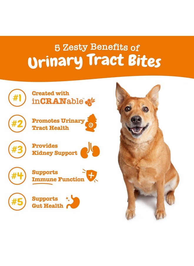Zesty Paws - Zesty Paws Cranberry Supplement for Dogs - Bladder Control for Dogs - Urinary Supplement for Dogs - Cranberry Chews with D-Mannose, Vitamin B6 & L-Arginine - Immune & Gut Support - Chicken - 90 Count - Image 1