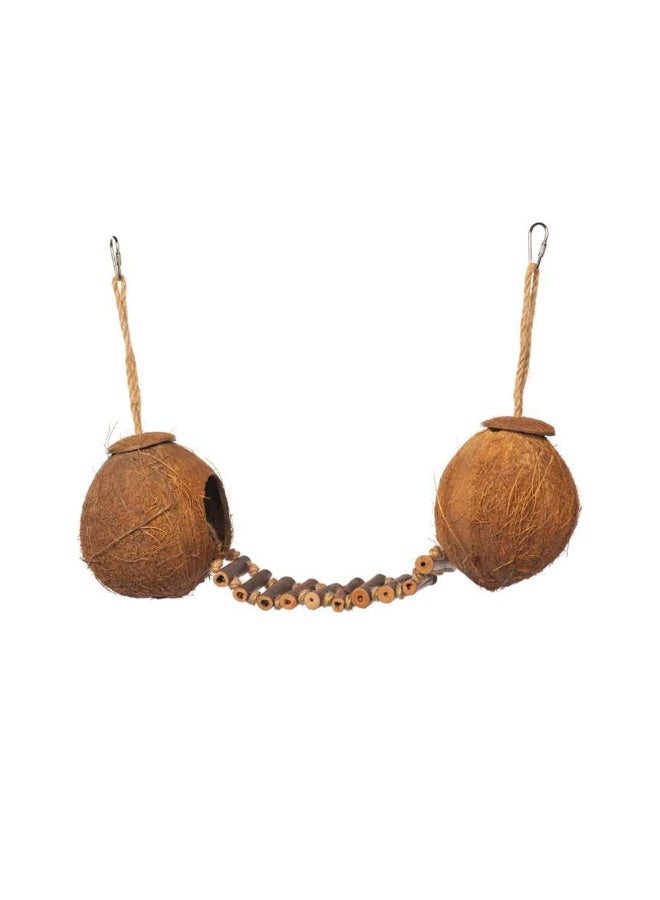 Prevue Double Coconut with Ladder Bird Toy