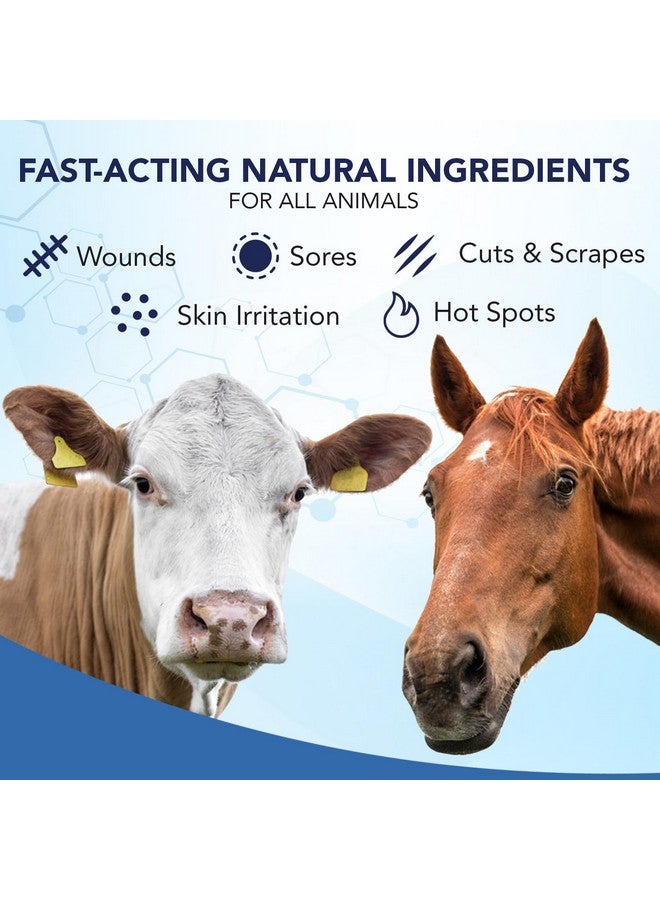 NOVEHA NOVEHA Pet Wound Spray - Sores, Abrasions and Wounds Care for Horse - Fast-Acting Skin Repair, Helps with Rashes, Hot Spots, Scratching, 6fl oz | 473ml - Image 4