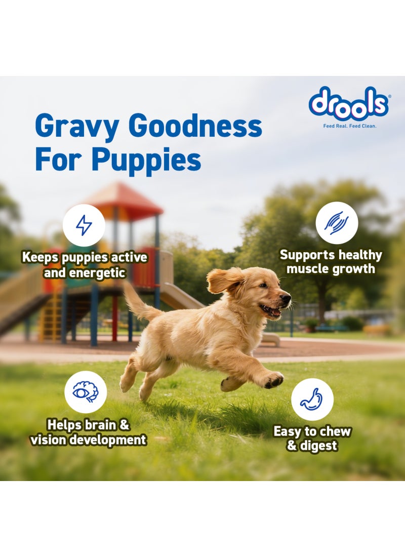 Drools Puppy Chicken & Chicken Liver Chunks Gravy  Wet Food - Image 5