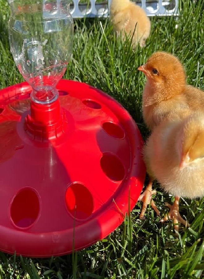 ريفر ديسك زجاجة شراب للكتاكيت ، احمر ، (صنع في ايطاليا) - Image 3