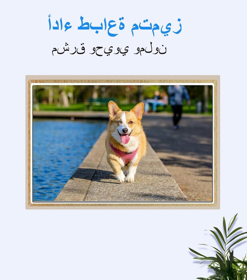 خرطوشة حبر OGOUGUNA المعاد تصنيعها 123 بديل لـ HP 123 123XL لطابعات Officejet 3830 4560 Deskjet 2130 2620 2630 2632 3639 Envy 4513 4520 4521 4522 (1 أسود 1 ثلاثي الألوان) - Image 5