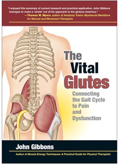 The Vital Glutes: Connecting the Gait Cycle to Pain and Dysfunction  - Image 1