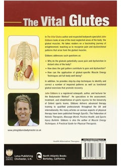The Vital Glutes: Connecting the Gait Cycle to Pain and Dysfunction  - Image 2