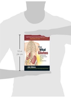 The Vital Glutes: Connecting the Gait Cycle to Pain and Dysfunction  - Image 3
