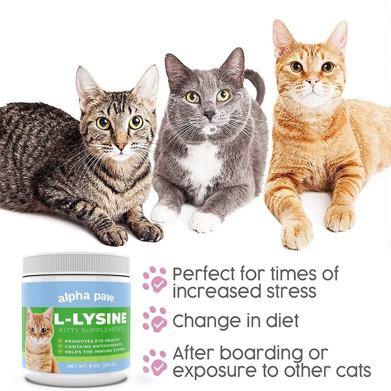 Alpha Paw - Human Grade for Pets - Cat Lysine Supplement - Extra Servings 5-10 Month Supply - Natural Lysine (8 Ounces/227 Grams) - Image 5