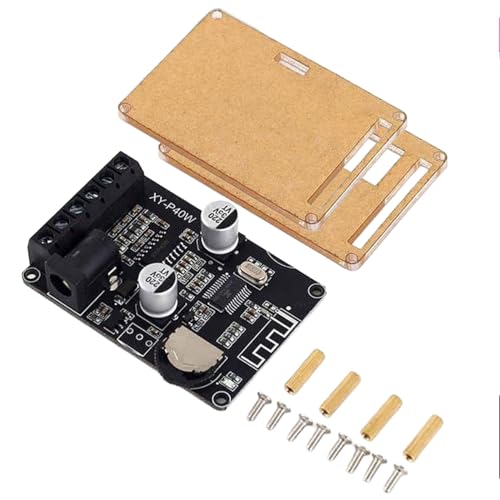 amiciSound Mini 40W+40W Bluetooth 5.0 Amplifier Board – Dual Channel, Stepless Tuning, DC 8-24V DIY Speakers - Image 1