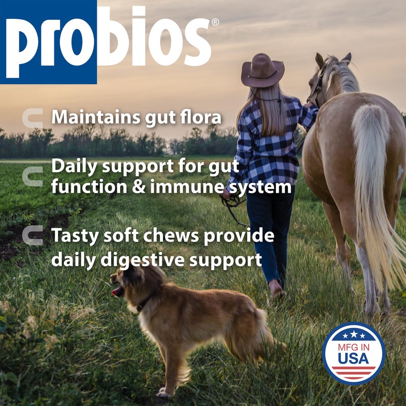 Probios for Horses Soft Chews, Daily Probiotic Supplement for Gut Health, Digestion & Immune Support, Horse Supplies, Apple Flavor, 1.32 lbs (600 Grams) - Image 2
