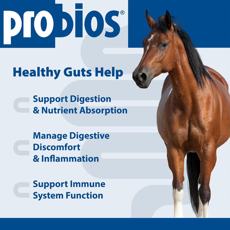 Probios for Horses Soft Chews, Daily Probiotic Supplement for Gut Health, Digestion & Immune Support, Horse Supplies, Apple Flavor, 1.32 lbs (600 Grams) - Image 3