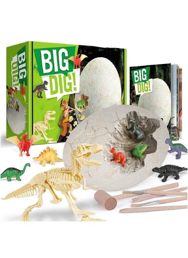 Digging Toy Archaeological Simulation Dinosaur Egg Fossil Model 12 Pieces  - Image 1