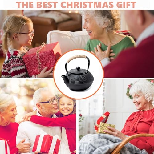 HwaGui Japanese Tetsubin Cast Iron Teapot, Iron Tea Pot with Infuser for Loose Tea, Cast Iron Tea Kettle Stovetop Safe, Teapot Coated with Enameled Interior, 600ml/20oz - Image 3