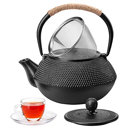 HwaGui Japanese Tetsubin Cast Iron Teapot, Iron Tea Pot with Infuser for Loose Tea, Cast Iron Tea Kettle Stovetop Safe, Teapot Coated with Enameled Interior, 600ml/20oz - Image 1