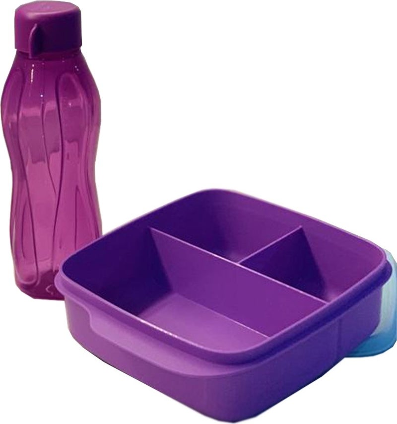 Tupperware Eco Flask 300 ml + 3 Compartment Storage Container  - Image 2