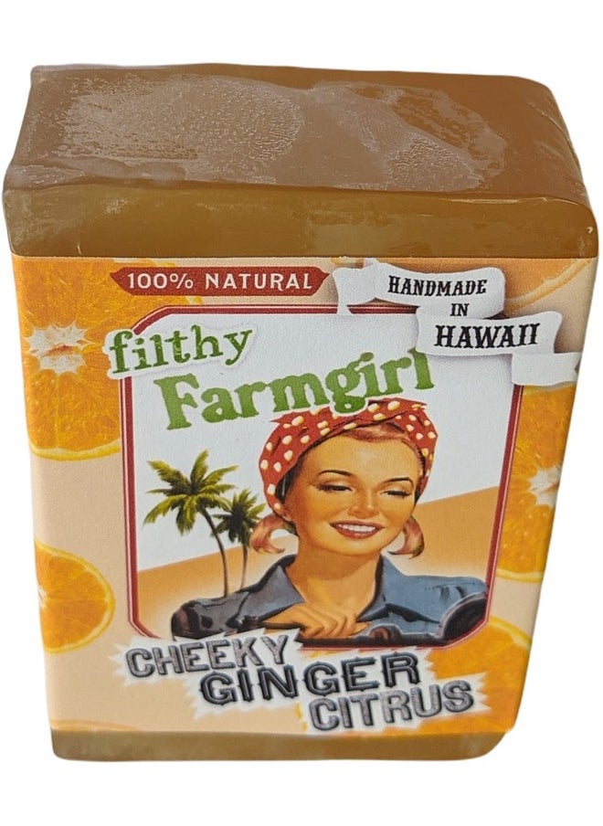 filthy farmgirl - Cheeky Ginger Citrus Bar Soap Orange Grapefruit Lemon Ginger - Image 1
