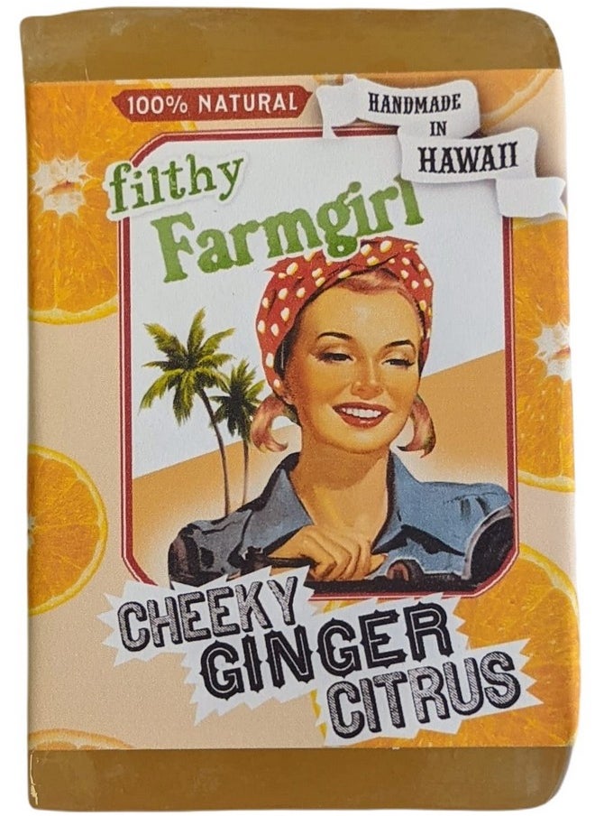 filthy farmgirl - Cheeky Ginger Citrus Bar Soap Orange Grapefruit Lemon Ginger - Image 1