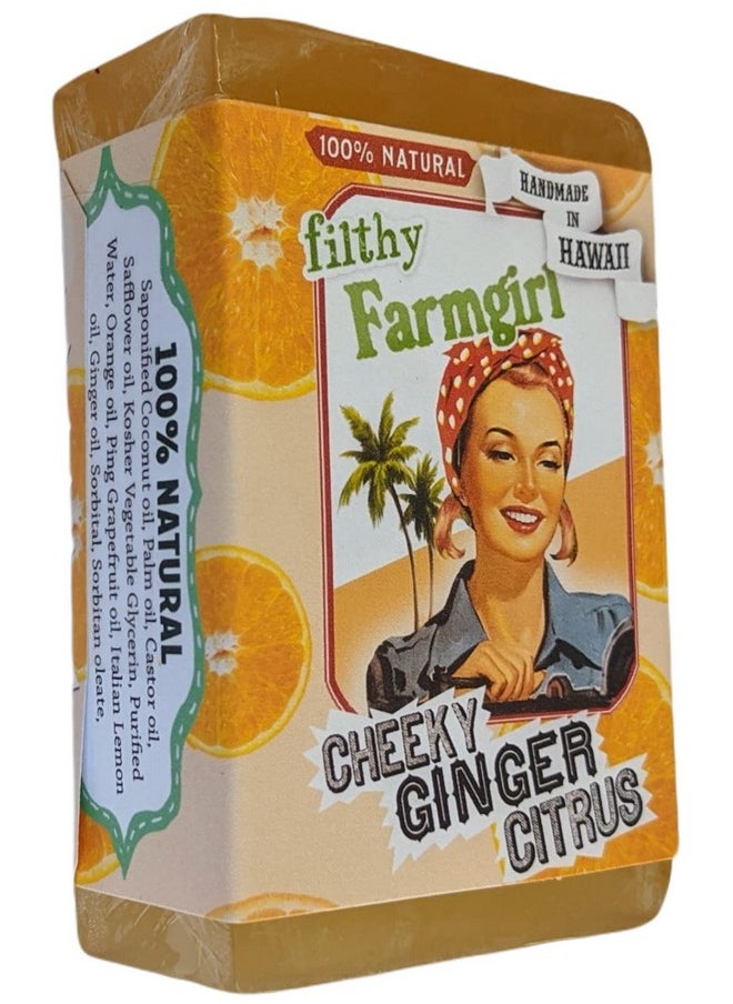 filthy farmgirl - Cheeky Ginger Citrus Bar Soap Orange Grapefruit Lemon Ginger - Image 1