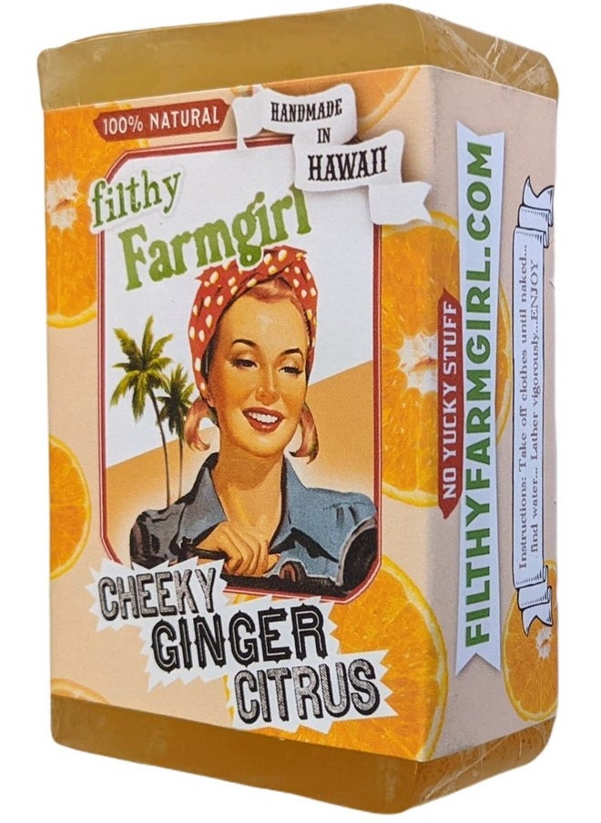 filthy farmgirl - Cheeky Ginger Citrus Bar Soap Orange Grapefruit Lemon Ginger - Image 1