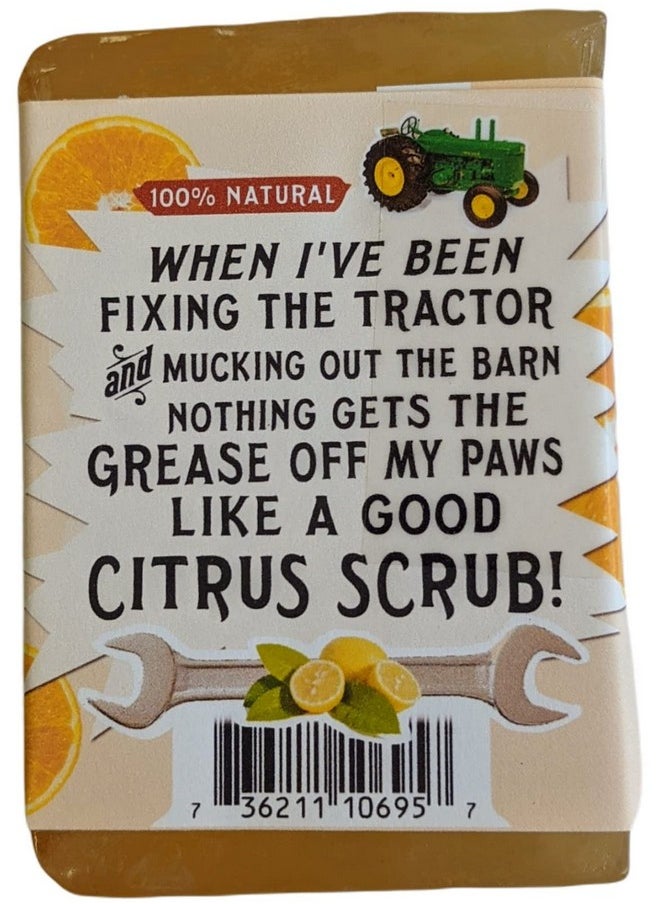 filthy farmgirl - Cheeky Ginger Citrus Bar Soap Orange Grapefruit Lemon Ginger - Image 1