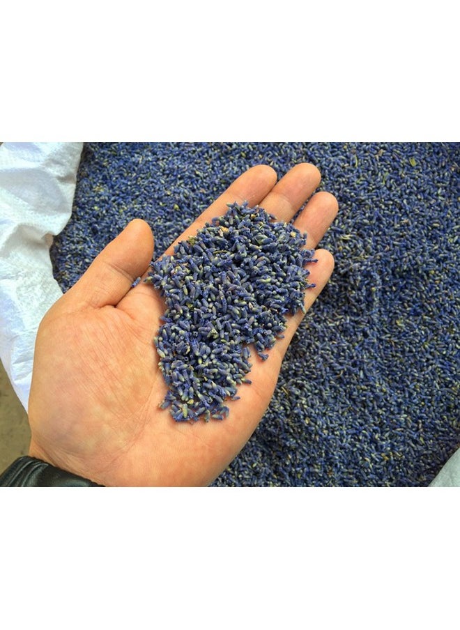 TooGet - Fragrant Lavender Buds Natural Dried Flowers Wholesale Ultra Blue Grade 1 2 Pound - Image 1