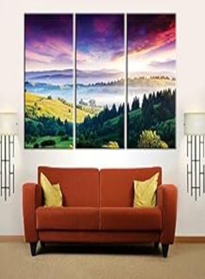 Sham Art Modern 3 Piece Frame 48x32 Inch