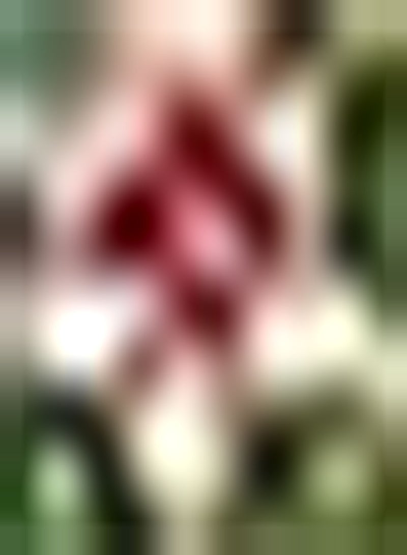 GGOOT 2 rote Amaryllis Zwiebeln Hof Zierblume Leicht duftend Exquisit gepflanzt auf Terrasse Balkon Amaryllis zieht Schmetterlinge Bienen an hoher Zierwert - Image 2