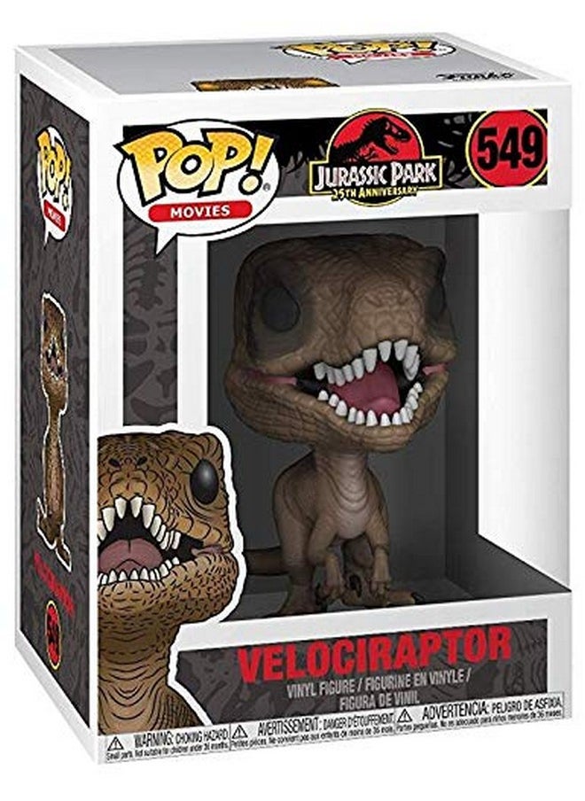 Funko Pop Movies Jurassic Park Velociraptor Collectible Figure  - Image 3