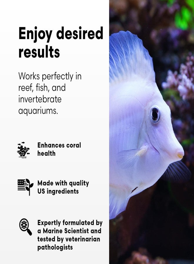 Brightwell Aquatics Reef BioFuel - Organic Carbon Supplement for Marine and Reef Aquariums, Aiding Bacterioplankton Growth That Promotes Rapid Phosphate and Nitrate Reduction, 250 ml - Image 3