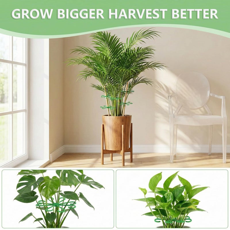 Opasyo 16PCS Plant Stem Support for Indoor Plants, Climbing Houseplant Stem Supports, 4 Sizes Reusable Clips for Monstera, Orchid & Pothos, Climbing Stem Holders (Green) - Image 4