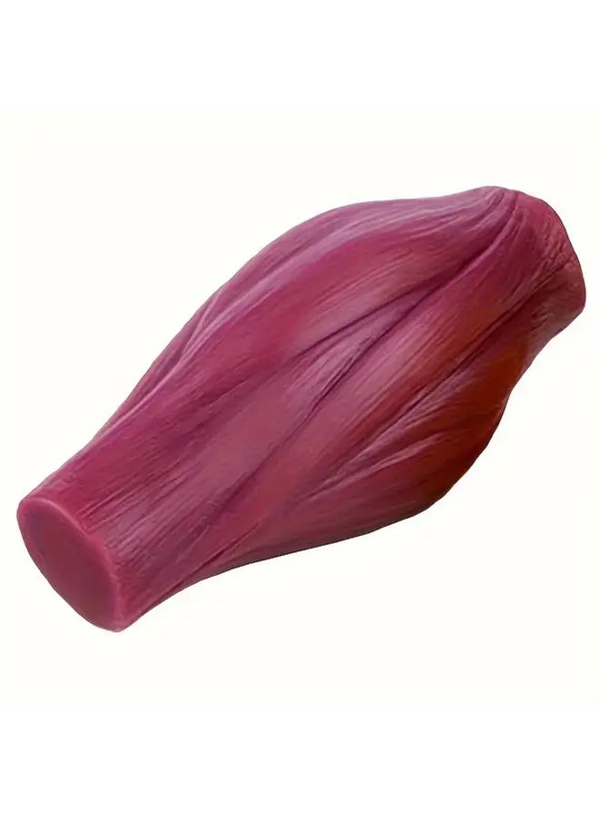 18 Plus Muscle and Fat Anatomy Model Classic Layered Visualization Design Accurate Texture Restoration Medical Popularization Teaching Tool Excellent for Interest Research and Collection - Image 3