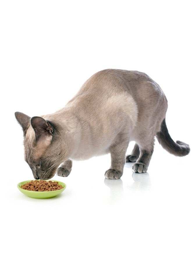 PetRageous 11036 Silly Kitty Dishwasher And Microwave Stoneware Cat Saucer 5Inch Diameter 2.5Ounce Capacity For Wet Or Dry Cat Food Great For All Cats, Lime Green - Image 3