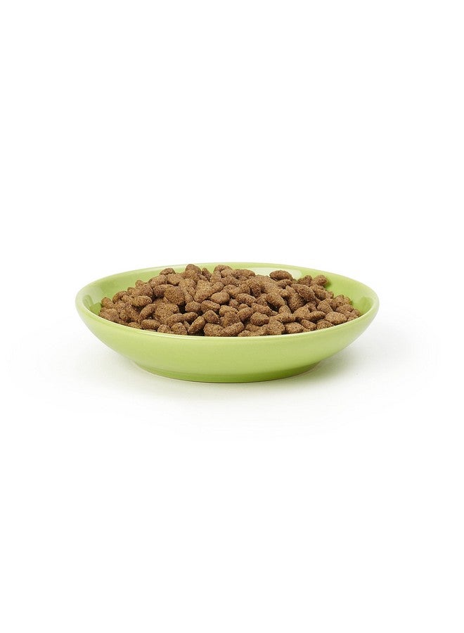 PetRageous 11036 Silly Kitty Dishwasher And Microwave Stoneware Cat Saucer 5Inch Diameter 2.5Ounce Capacity For Wet Or Dry Cat Food Great For All Cats, Lime Green - Image 4