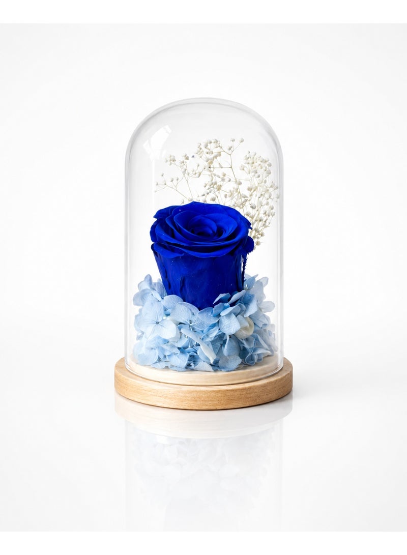 RAFAL Blue Rose Display in Clear Glass Dome with Wooden Base for Table Decor - Image 1