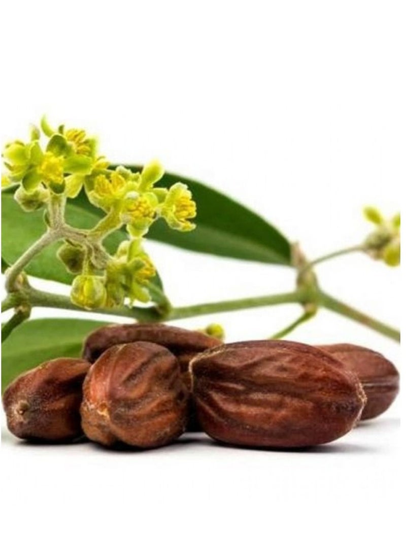 Generic - Jojoba Seeds 250 grams - Image 1