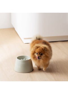 Navaris Elevated Slow Feeder Dog Bowl  Melamine Pet Food Bowl For Dogs And Cats  Raised Cat Feeding Bowl To Slow Down Eating  7.4" X 7.36" X 4.7"  - Image 2