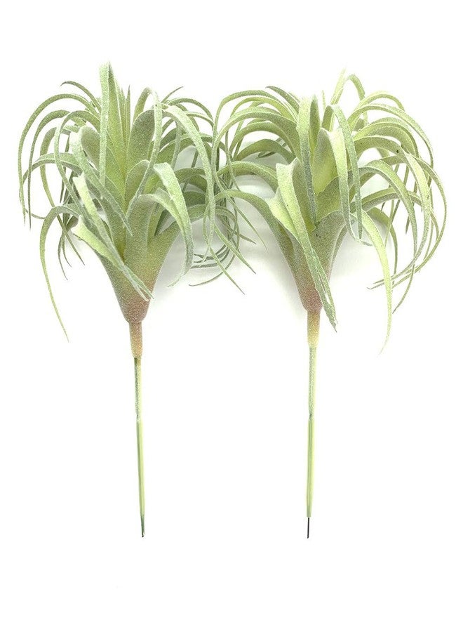 EBUYOM 2 PCS Artificial Succulents Plants Real Touch Lifelike Succulants Plants Faux Greenery Plants Garden DIY Home Office Decoration Ornament (Flocking Air Plant) - Image 3