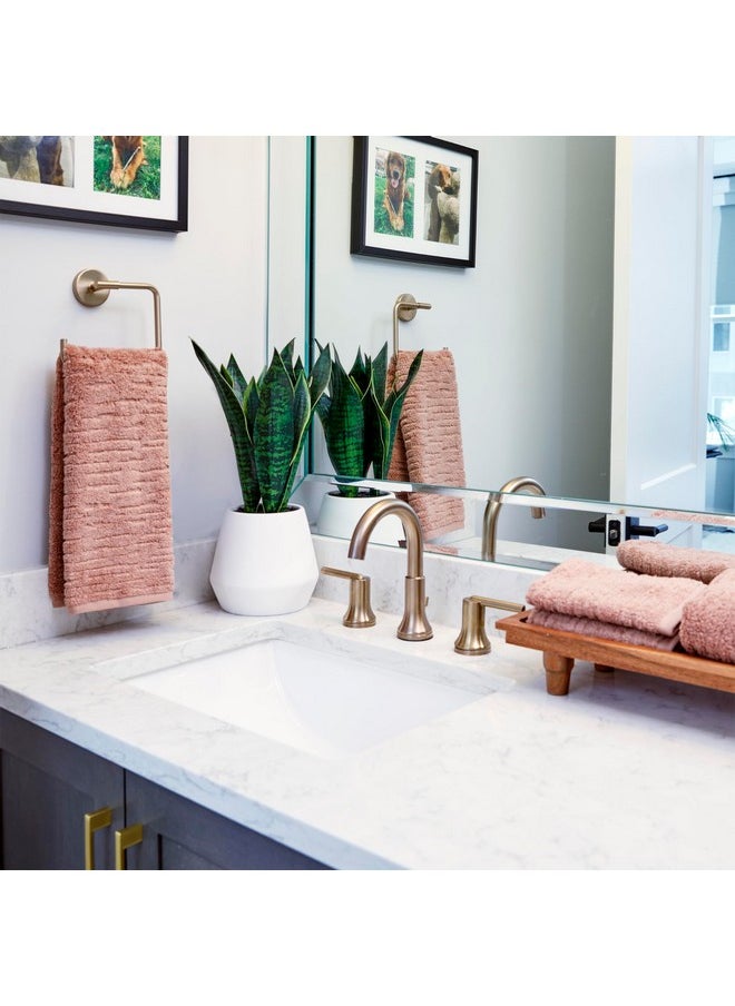 SKL Home - Cloudsoft Cotton Luxury 2-Piece Hand Towel Set, Clay - Image 1