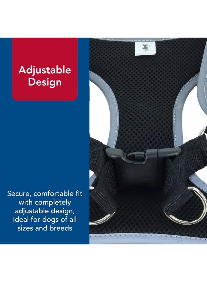 كوستال حزام كلب Coastal Pet Comfort Soft Reflective قابل للتعديل - حزام كلب لا يسحب للكلاب الصغيرة والكبيرة - أسود - 5/8 بوصة × 19 بوصة - 23 بوصة - Image 5