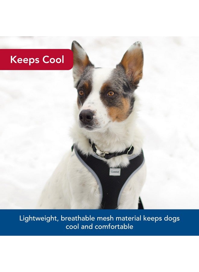 كوستال حزام كلب Coastal Pet Comfort Soft Reflective قابل للتعديل - حزام كلب لا يسحب للكلاب الصغيرة والكبيرة - أسود - 5/8 بوصة × 19 بوصة - 23 بوصة - Image 4