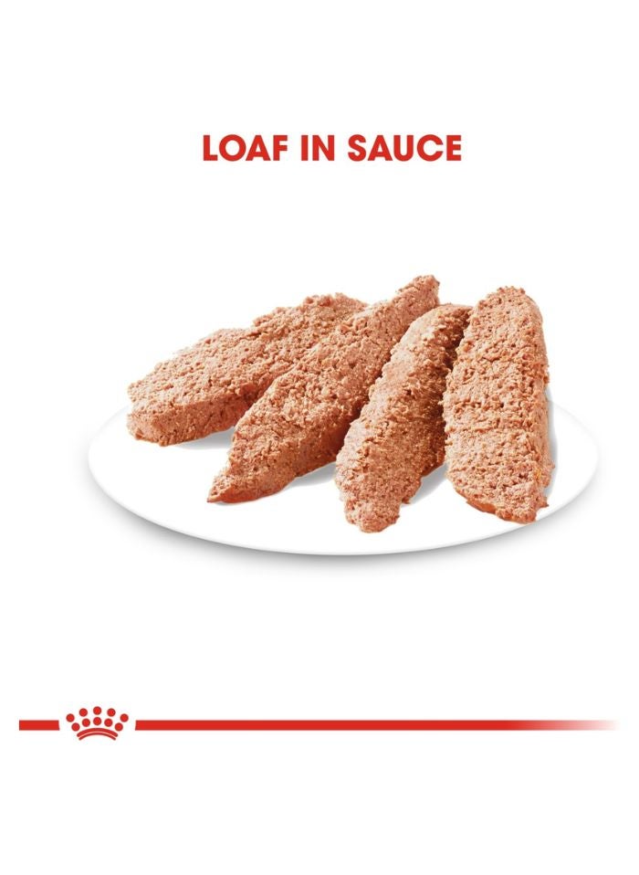 ROYAL CANIN Canine Care Nutrition Dermacomfort (WET FOOD - Pouches) 12 x 85g - Image 2