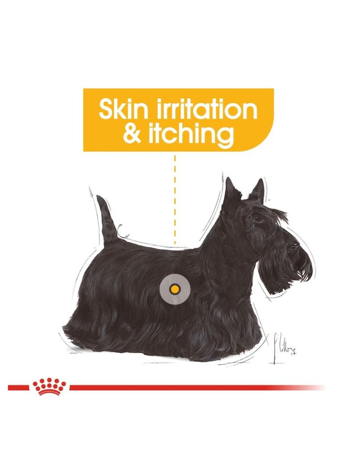 ROYAL CANIN Canine Care Nutrition Dermacomfort (WET FOOD - Pouches) 12 x 85g - Image 5